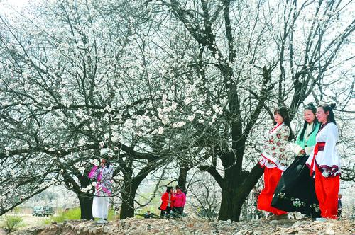 CCTV5亚洲杯在线直播 高清画面